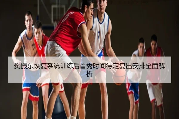 樊振东恢复系统训练后首秀时间待定复出安排全面解析
