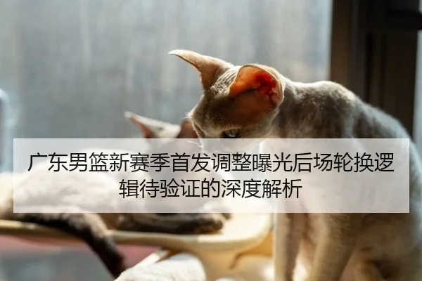广东男篮新赛季首发调整曝光后场轮换逻辑待验证的深度解析